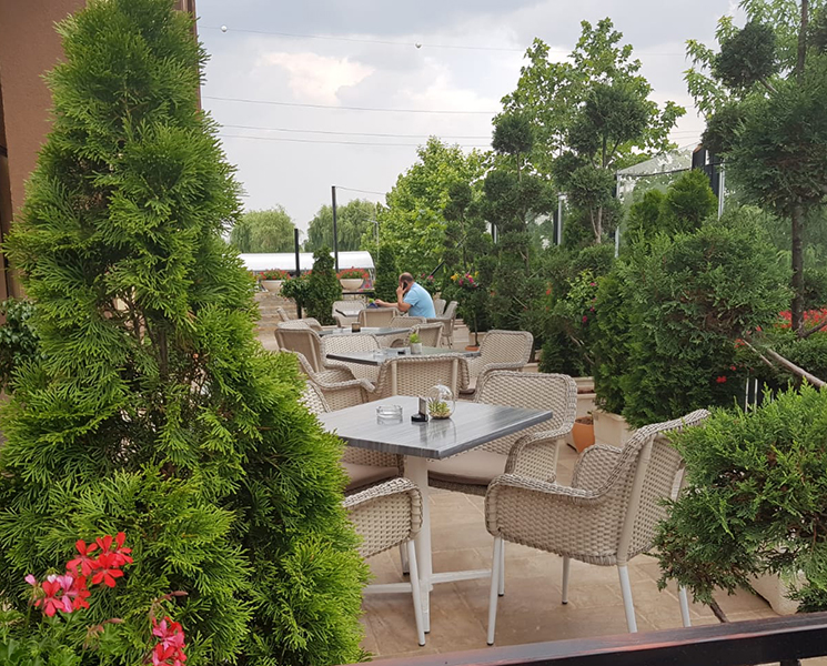 mobilier_terasa_scaune_catch